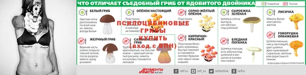 кокс Костерёво