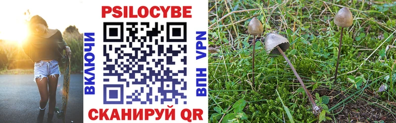 наркота  Ядрин  Галлюциногенные грибы MAGIC MUSHROOMS 